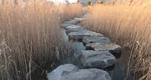 Stepping stone sm