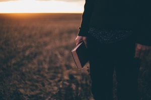 bible training am