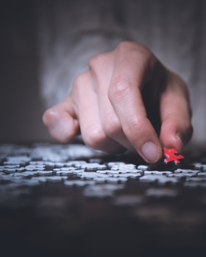 Puzzle crop sm